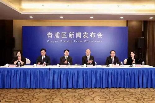 武汉夏阳街道新闻头条,聚焦社区发展新篇章